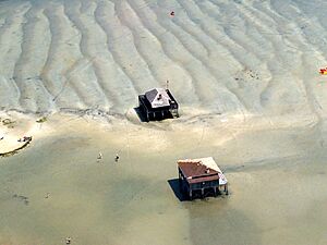 Archivo:Arcachon1Copier