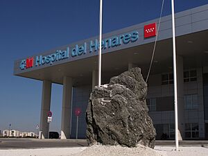 Archivo:Bloque de yesos miocenos en la entrada del Hospital del Henares