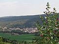 Carme overview