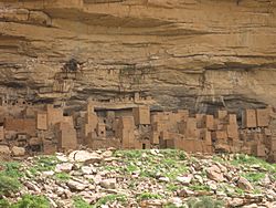 Casas dogon.jpg