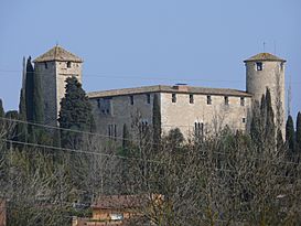 Castillo de PalauSacosta para Niños