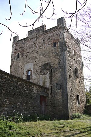 Archivo:Castillo de Grimaldo
