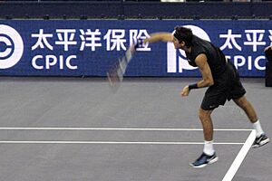 Archivo:Del Potro 2008 Tennis Masters