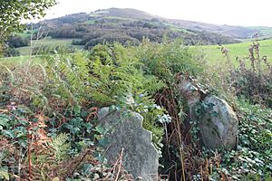 Archivo:Dolmen d'El Varadal (Tineu) (06)