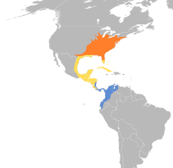 Distribución geográfica del mosquero verdoso.