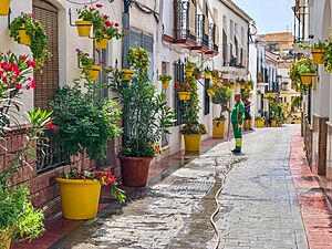 Archivo:Estepona IMG 5835 (43109944065)