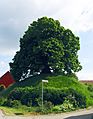 Evessen Tumulus 2