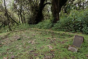 Archivo:Gorilla and Dian Fossey's graveyard