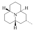 Hippodamine
