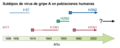 Influenza subtypes-es