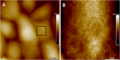 Jmr2510-fig-0002