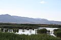 Laguna marjal del moro