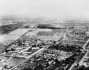 Archivo:MGM-studios-1922