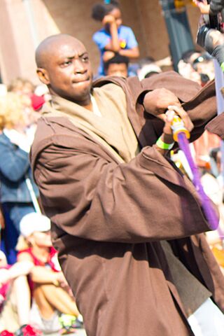 Mace Windu (cropped).jpg