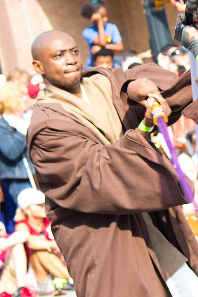 Mace Windu (cropped)