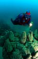 Microbialite Three Poles Diver 50 - 60 feet.