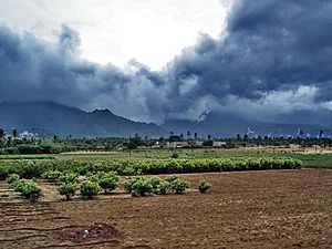 Archivo:Monsoon clouds near Nagercoil
