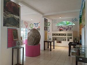 Archivo:Museo La Trinidad vista 2