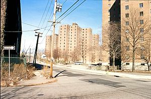 Archivo:NewarkRiot-Area