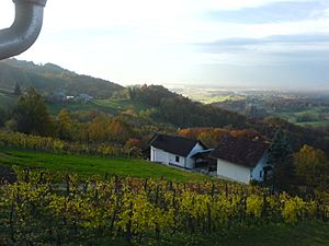 Archivo:Pastoral Slovenia View vineyards