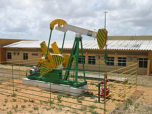 Archivo:Petrobrás-cavalo-mecânico