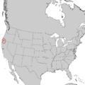 Picea breweriana range map 2