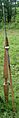 Pilum heavy - cropped