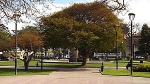 Archivo:Plaza de Armas La Serena 2