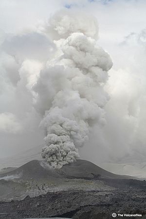 Archivo:Puyehue Cordon Caulle erupting vent, February 2012