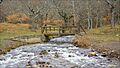 Río Araviana.Cueva de Ágreda - 54378468160
