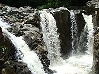 Archivo:Río El Castrero 1