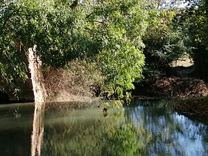 Archivo:Río Gualaviar (Gea de Albarracín)