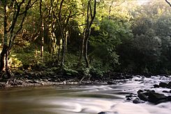 Rio Mandeo por Chelo.jpg