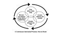Risk Management Elements