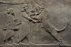 Archivo:Sculpted reliefs depicting Ashurbanipal, the last great Assyrian king, hunting lions, gypsum hall relief from the North Palace of Nineveh (Irak), c. 645-635 BC, British Museum (16722368932)