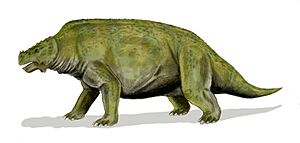 Archivo:Scutosaurus BW