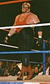Vader One Night Only