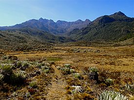 Valle de Morrena y pico Mucuñuque, Sierra de Santo Domingo.JPG