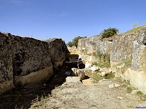 Archivo:Yacimiento arqueológico de La Cava (33049843488)