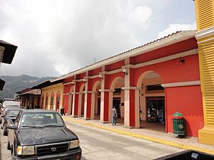 Archivo:Zacapoax5