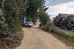 10-08 Cardonal de Panilonco (Pichilemu) (54054165590).jpg