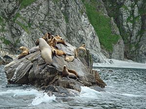 Archivo:Alaska 2007 056