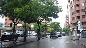 Archivo:Avenida Isabel la Católica. Plaza de Isabel II. Avenida Ramón Menéndez Pidal. Albacete