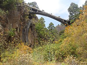 Archivo:Barranco de Gambuesas-Arafo