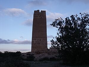 Archivo:Bofilla 01