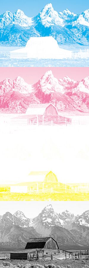 Archivo:CMYK separation – maximum black