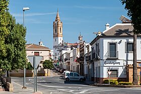Calle Alameda -- 2023 -- Rociana del Condado, Huelva, España.jpg