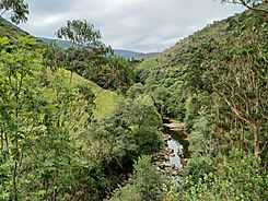 Camino Lebaniego, entre Cades y Sobrelapeña 16.jpg