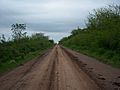 Camino Principal hacia la Ruta