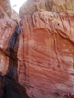 Archivo:Canyoning in Atuel´s Canyon, San Rafael, Argentina